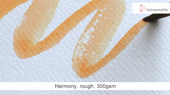 Бумага для акварели "Harmony", 300 г/м2, 50 х 65 см, целлюлоза 100%, Rough \ Torchon, 1л